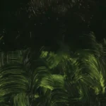 Sap Green