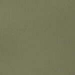 205 green gray