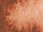 010 Burnt Sienna