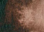 011 Burnt Umber