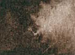 097 Raw Umber