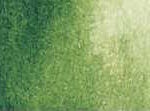102 Sap Green