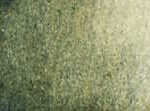 109 Undersea Green
