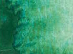 142 Cascade Green