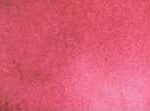 167 Rhodonite Genuine