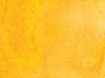 221 Cadmium Yellow Deep Hue