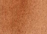 230 Burnt Sienna Light